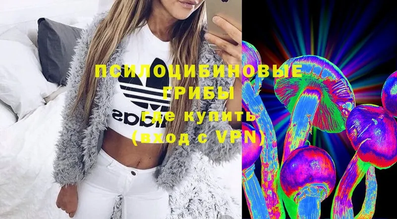 OMG ссылка  Новоуральск  Псилоцибиновые грибы Cubensis 